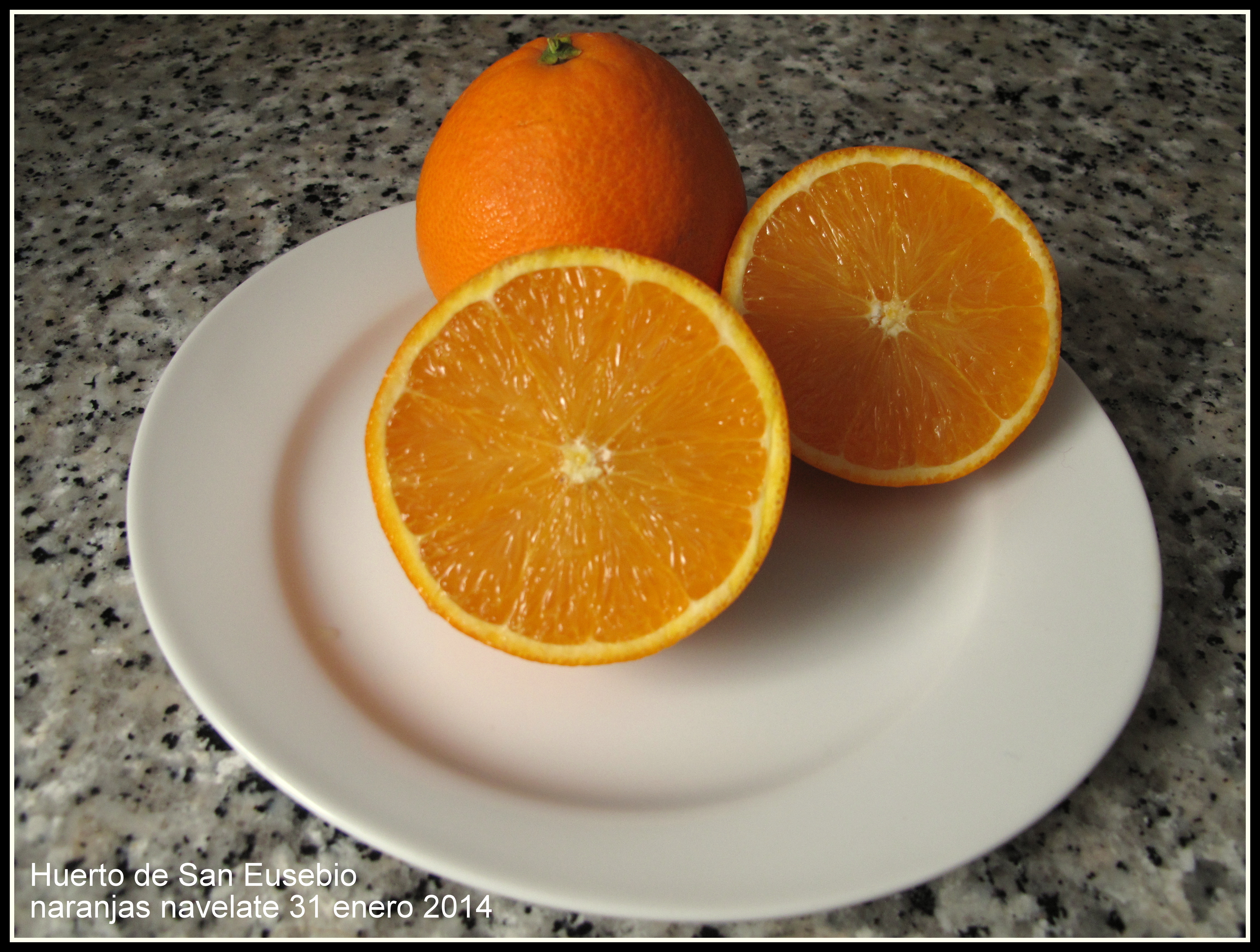 naranjas navelate carcaixent
