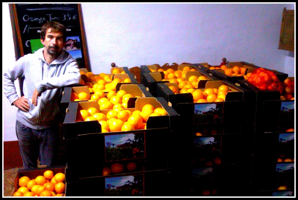 Naranjas Pamplona Huerto San Eusebio