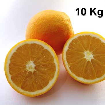 10 kg box of organic oranges (Navel)
