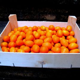 500gr kumquat