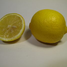 Citrons biologiques 10 Kg