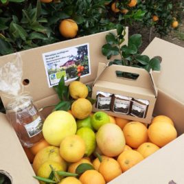 15Kg BOX: 7Kg Navel-Orangen + 6Kg verschiedene Zitrusfrüchte + 3 Gläser Marmelade + 1 Glas Bio-Honig