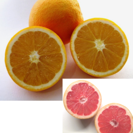 10Kg Navel Oranges + 5Kg Organic Grapefruits