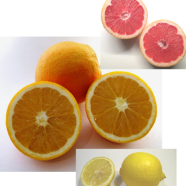 14Kg Navel Oranges + 3Kg Grapefruit + 3Kg Organic Lemons